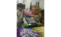 燒頭機(jī)應(yīng)用